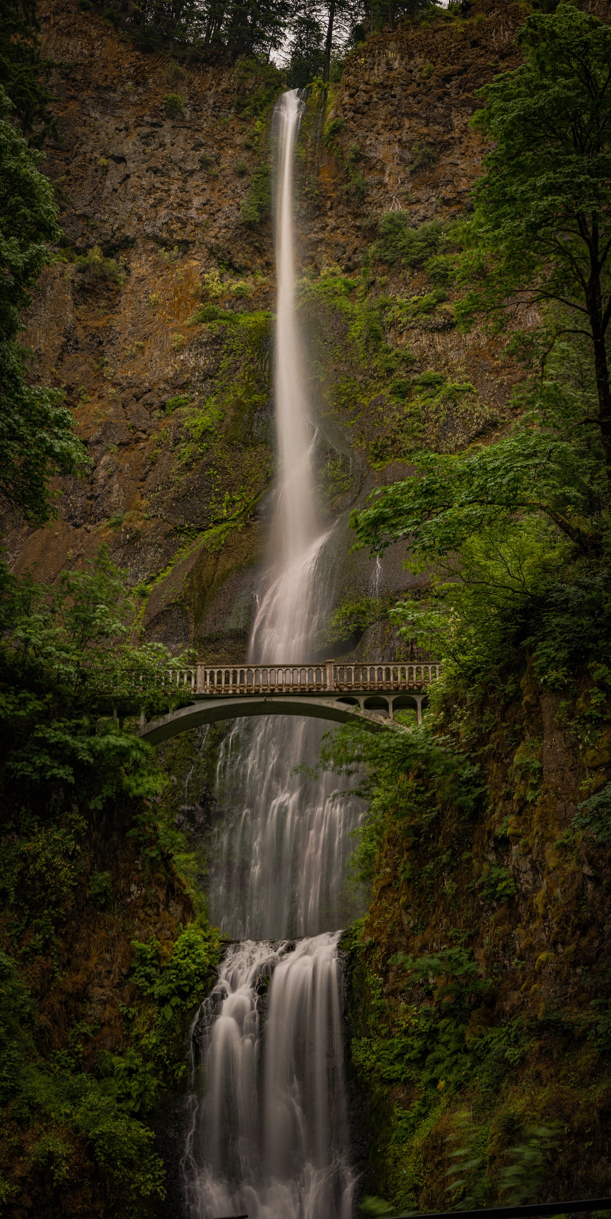 Wahclella Falls, Columbia River Gorge